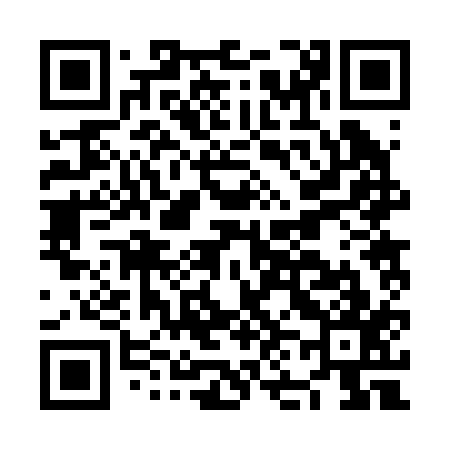 QR code for NN2217