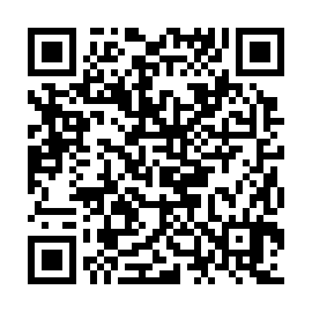 QR code for NN2384
