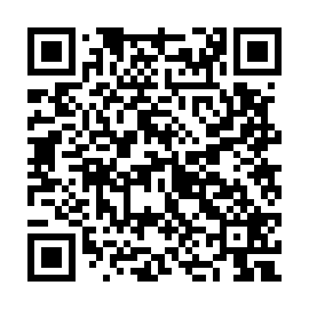 QR code for NN2529