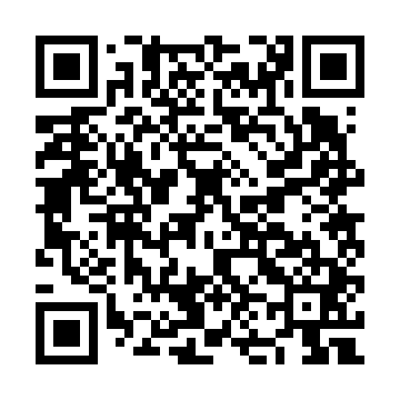 QR code for NN2641