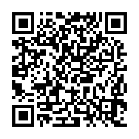 QR code for NN2993