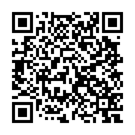 QR code for NN3077