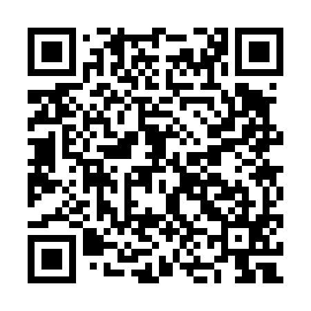 QR code for NN3495