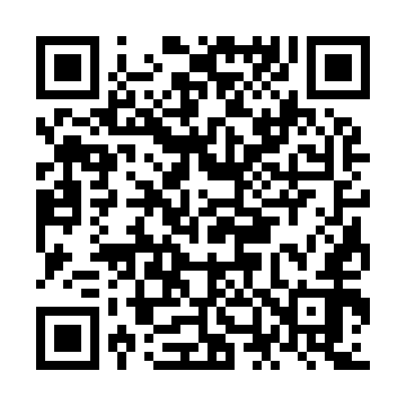 QR code for NN3952