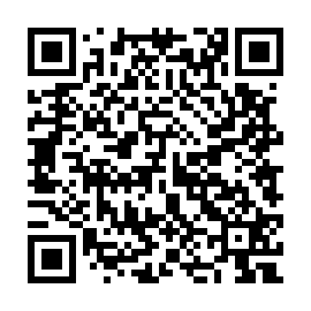 QR code for NN4521