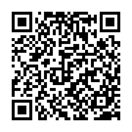 QR code for NN5387