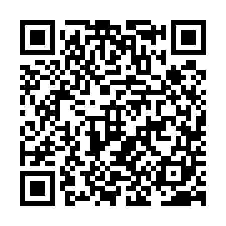 QR code for NN6541