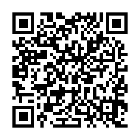 QR code for NN6955