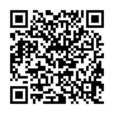 QR code for NN7994