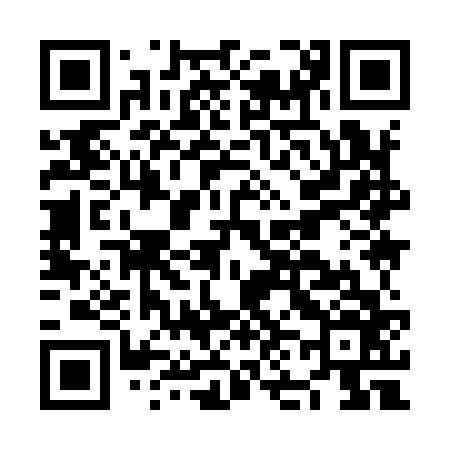 QR code for NN9966