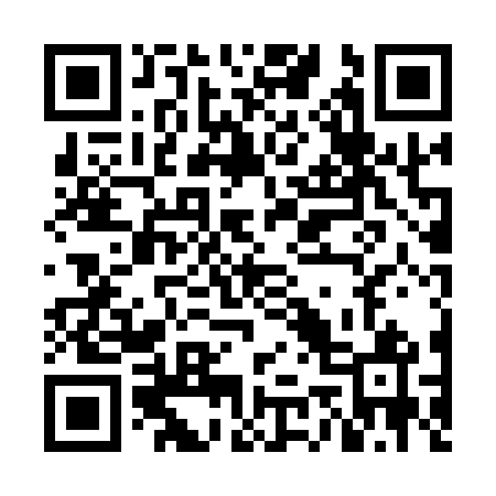 QR code for NO0161