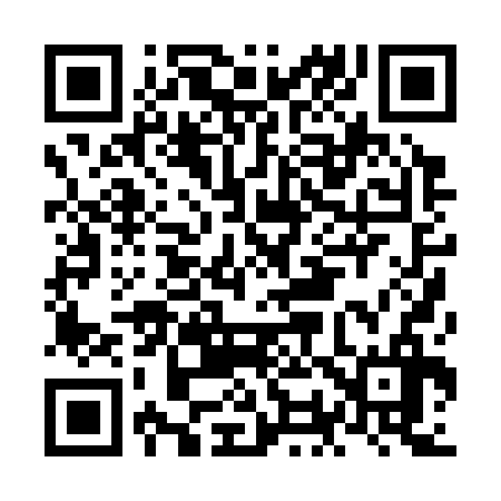 QR code for NO0336