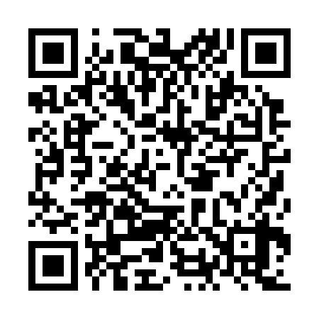 QR code for NO0338