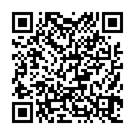 QR code for NO0460