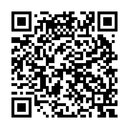 QR code for NO3293