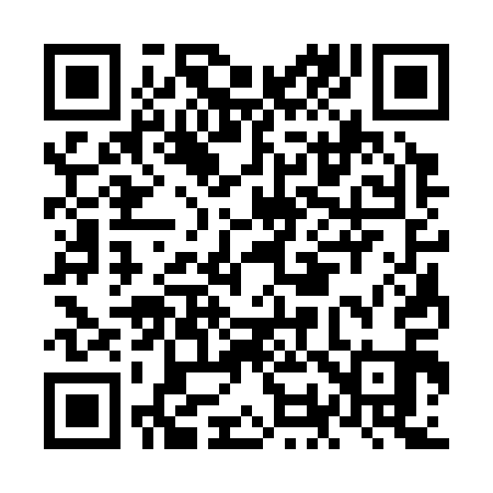 QR code for NO3311