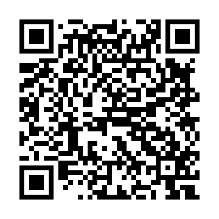 QR code for NO3817