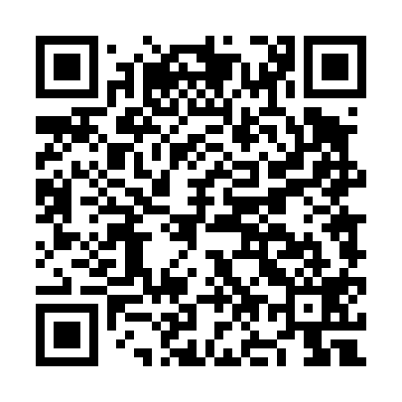 QR code for NO4419