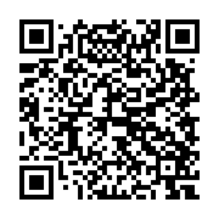 QR code for NO4546