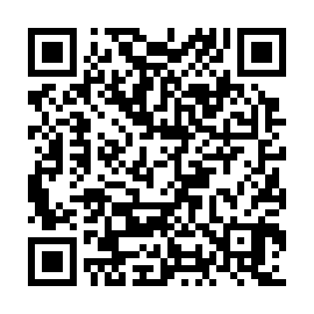 QR code for NO6300