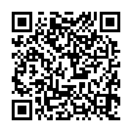 QR code for NO6370