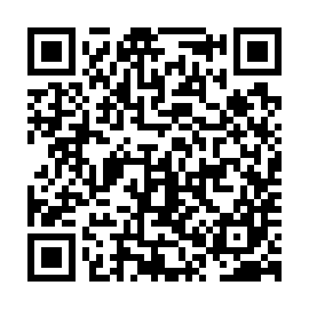 QR code for NP3787