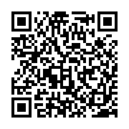 QR code for NP3913