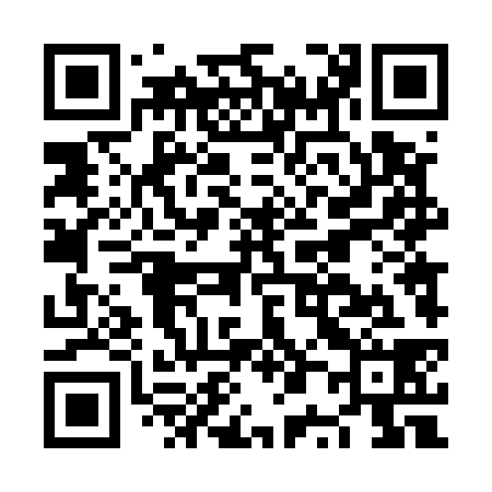 QR code for NP4538