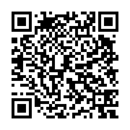 QR code for NQ0438