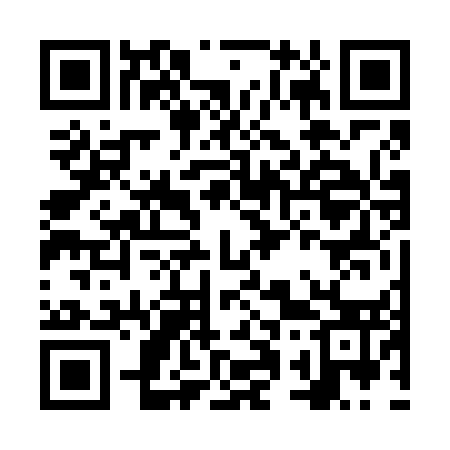 QR code for NQ6653