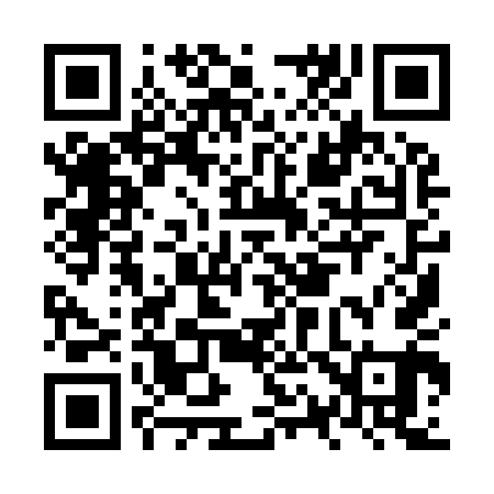 QR code for NQ9941