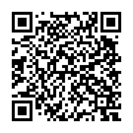 QR code for NR0463