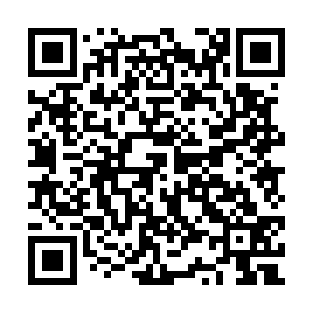 QR code for NS0533