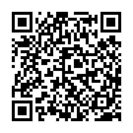 QR code for NS0650