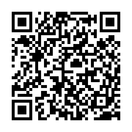 QR code for NS1453