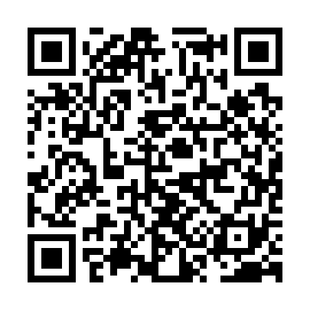 QR code for NS1771