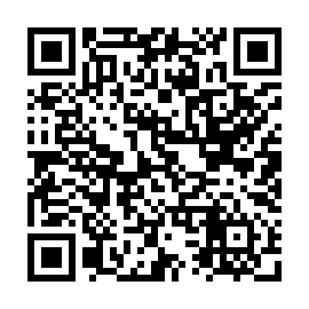 QR code for NS1994