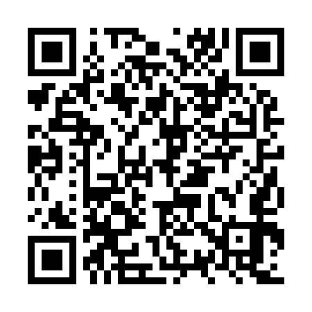 QR code for NS2953