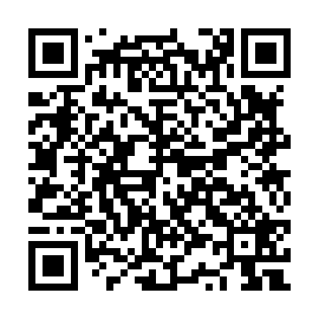 QR code for NS3829