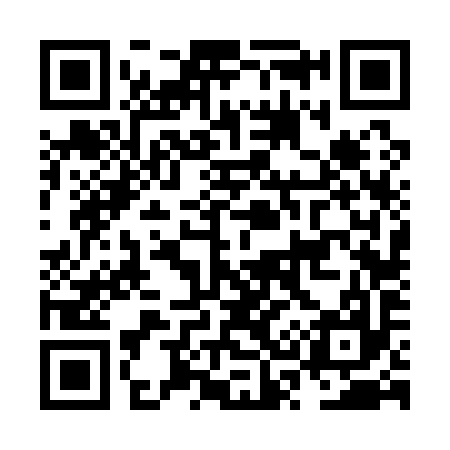 QR code for NS6197