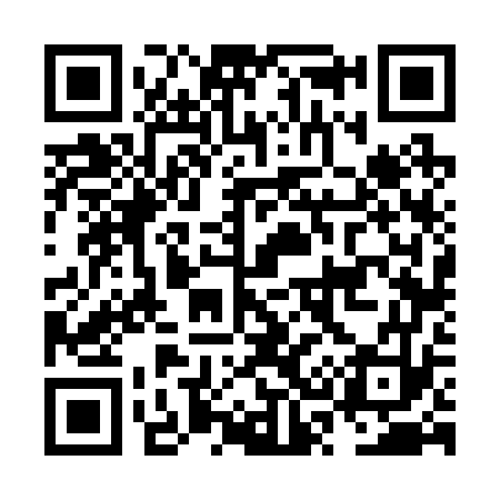QR code for NS6273