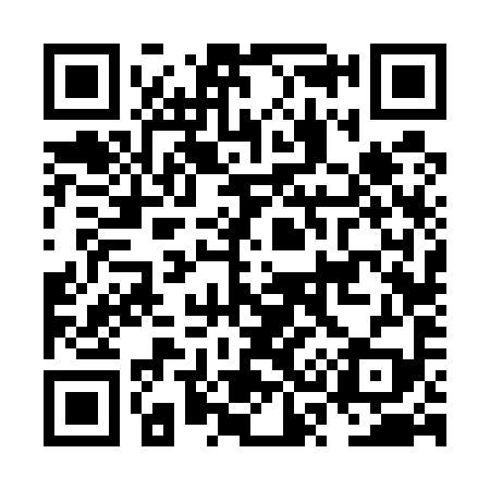QR code for NS6599