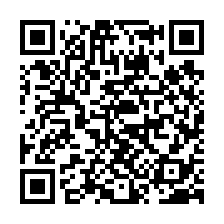 QR code for NS6638