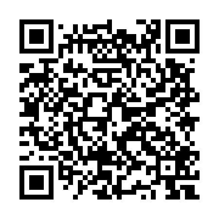 QR code for NS9509