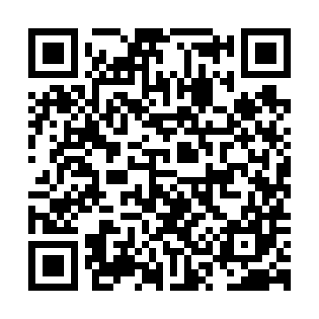 QR code for NS9687