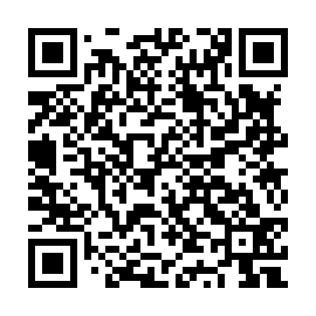 QR code for NT3833