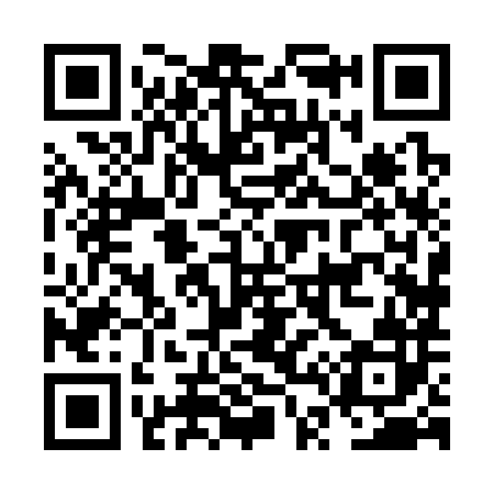 QR code for NT8382