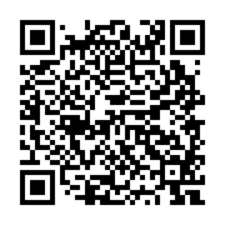 QR code for NV0384