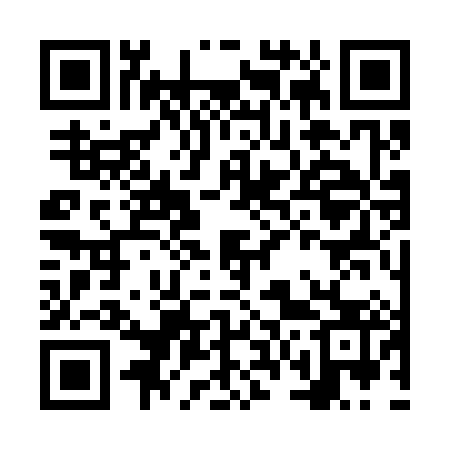 QR code for NV3383