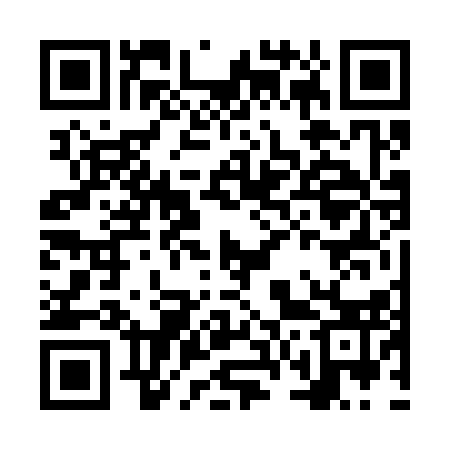 QR code for NV6313